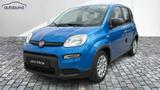 Fiat Panda 1,0  Hybrid (MHEV) Pandina Base NBA PDC SH - Fiat Panda Gebrauchtwagen in Wuppertal