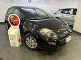 Fiat FIAT Punto 1.2 8V 5 porte LOUNGE - gebrauchte Fiat Punto aus dem Jahr 2018