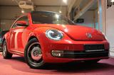 Volkswagen Beetle 1.4 TSI DSG Design *Pano*Navi* - VW Beetle mit Schiebedach
