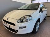 Fiat Punto 1.2 8V 5 porte MyStyle - Fiat Punto: Mystyle