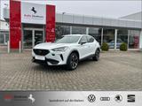 Cupra Formentor 2.0 TDI 4Drive AZN-Haus-FÖRDERUNG* - Cupra Formentor Diesel Gebrauchtwagen
