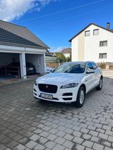 Jaguar F-Pace 20d Prestige Automatik Prestige - Jaguar F-PACE Prestige mit Diesel-Antrieb