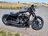 Harley-Davidson Sportster IRON 883 - Angebote