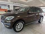 Mercedes-Benz ML 250 4M CDI 1.Hand/Memory/Pano/Sport/Xenon - Mercedes-Benz ML 250 Gebrauchtwagen