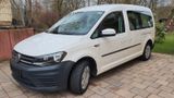 Volkswagen Caddy 2,0TDI 75kW BMT Maxi 7-Sitzer