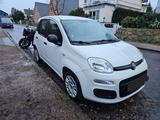 Fiat New Panda 1.2 8V EASY EASY - Fiat New Panda in Hamburg