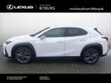 Lexus UX 300h F-Sport Design 15 Jahre Relax Garantie - weiße Lexus UX