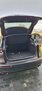 Mazda CX-30 e-SKYACTIV-X 2.0 M-Hybrid Homura  - Mazda CX-30 aus 2023