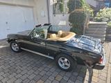 Fiat 124 Spider Pininfarina seit 93 im Besitz, TOP - Fiat: Pininfarina