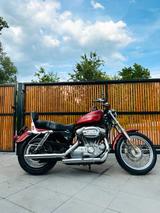 Harley-Davidson Sportster Custom 883C - HARLEY-DAVIDSON SPORTSTER 883 CUSTOM