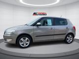Skoda Fabia 1.2l TSI 77kW Fresh Sitzheizung PDC 2.Hand - Skoda Fabia: Beige