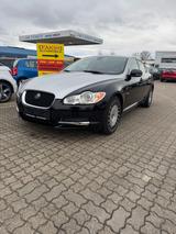 Jaguar XF 5.0 V8 Portfolio - Jaguar XF mit Benzin-Antrieb: Limousine, 5.0