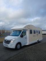 Ahorn Kentucky - Ahorn Teilintegrierter