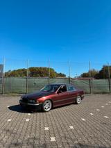 BMW Bmw e39 530d individual - BMW 530 Limousine E39 530d mit Diesel-Antrieb