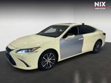 Lexus ES 300 2.5 Hybrid Business Line TAXI UMBAU - Lexus ES-Serie Gebrauchtwagen