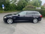 Jaguar XF 3.0 L V6 Diesel Sportbrake Kamera - Jaguar: Unfallwagen