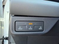 Cupra Terramar VZ 2.0 TSI DSG 4Drive PANO AHK 5J GAR bei Autohaus Landmann & Maier OHG