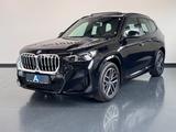 BMW X1 sDrive 18 i M Sport*PANO*180 KAMERA*BLACK*AMB - BMW: 180