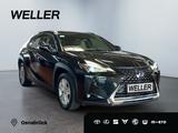 Lexus UX 250h Business Edition *ACC*Kamera*CarPlay*SHZ - Lexus aus 2021