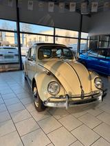 Volkswagen Käfer 1600 - Volkswagen Käfer