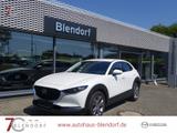 Mazda CX-30 Selection 122 Automatik Design-Active|Bose - Mazda CX-30 Selection mit Benzin-Antrieb
