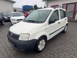Fiat Panda 1.1 8V Active - Fiat Panda: Active