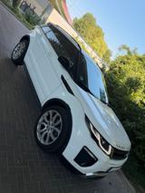Rover Renge Rover - Rover Gebrauchtwagen