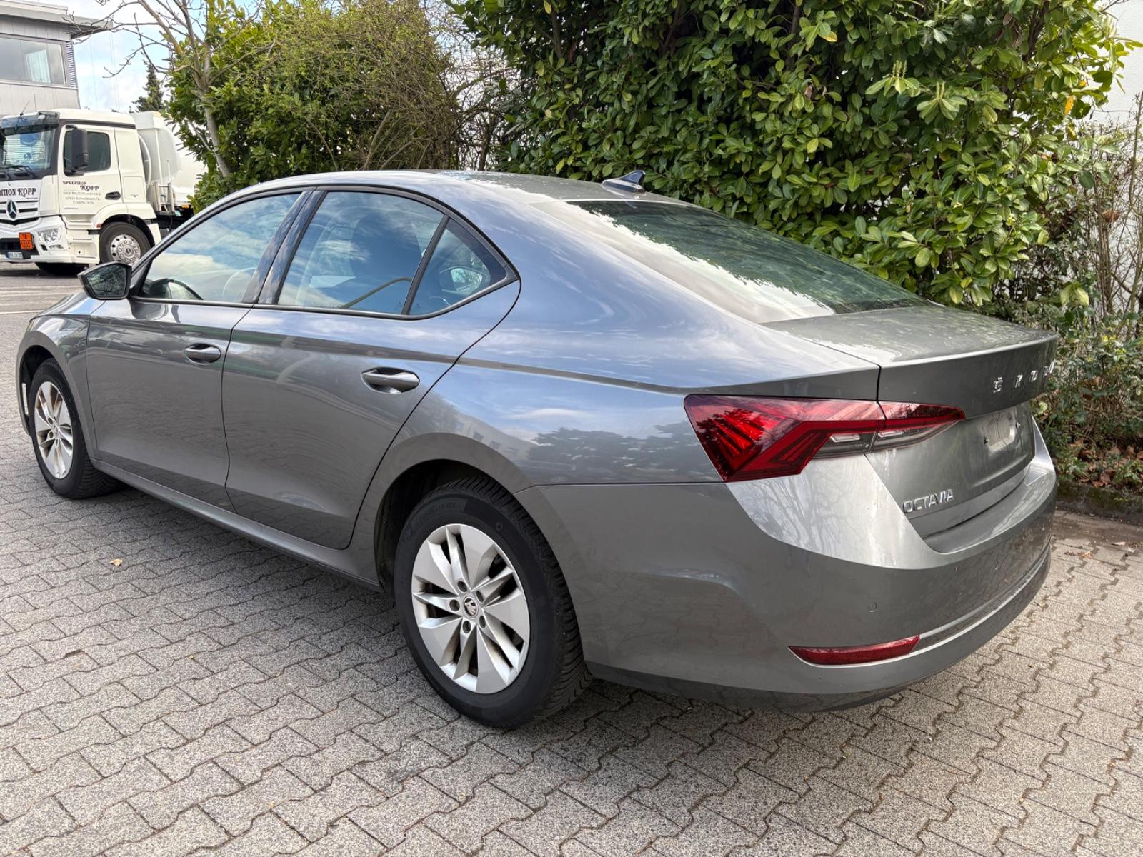 Skoda Octavia 2.0 TDI/DSG/Netto 14100