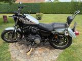 Harley-Davidson Sportster XL883/1200 - Offers