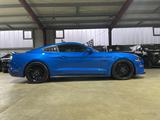 Ford MUSTANG GT+U-FREI+19% AUSWEISBAR+SPOILER+GARANTI - Ford Mustang mit Benzin-Antrieb: Automatik