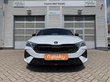 Skoda Octavia Lim. 2.0TSI RS CANTON+Lenkrhz+ACC+RFK - Skoda Octavia: Limousine