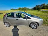 Fiat Punto 1.3 Multijet 16V 75 Active Active - Fiat Punto von privat