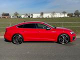 Audi S5 TDI tiptronic quattro Sportback - - Audi S5 in Hannover