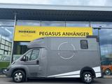 Peugeot Boxer 2 Pferdetransporter 3,5t - Tier-/Pferdetransport 3 pferde