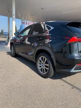 Lexus NX 300 300h Executive Line Executive Line - Lexus Gebrauchtwagen