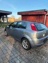 Fiat Punto TÜV 2028 - Fiat Punto in Kiel