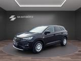 Opel Grandland (X)Dynamic TOT-WINKEL*R-KAM*SPUR-SZHZ - Opel Gebrauchtwagen in Darmstadt