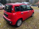 Fiat Panda Easy Parksensoren Radio Klima - Fiat Panda Gebrauchtwagen in Augsburg