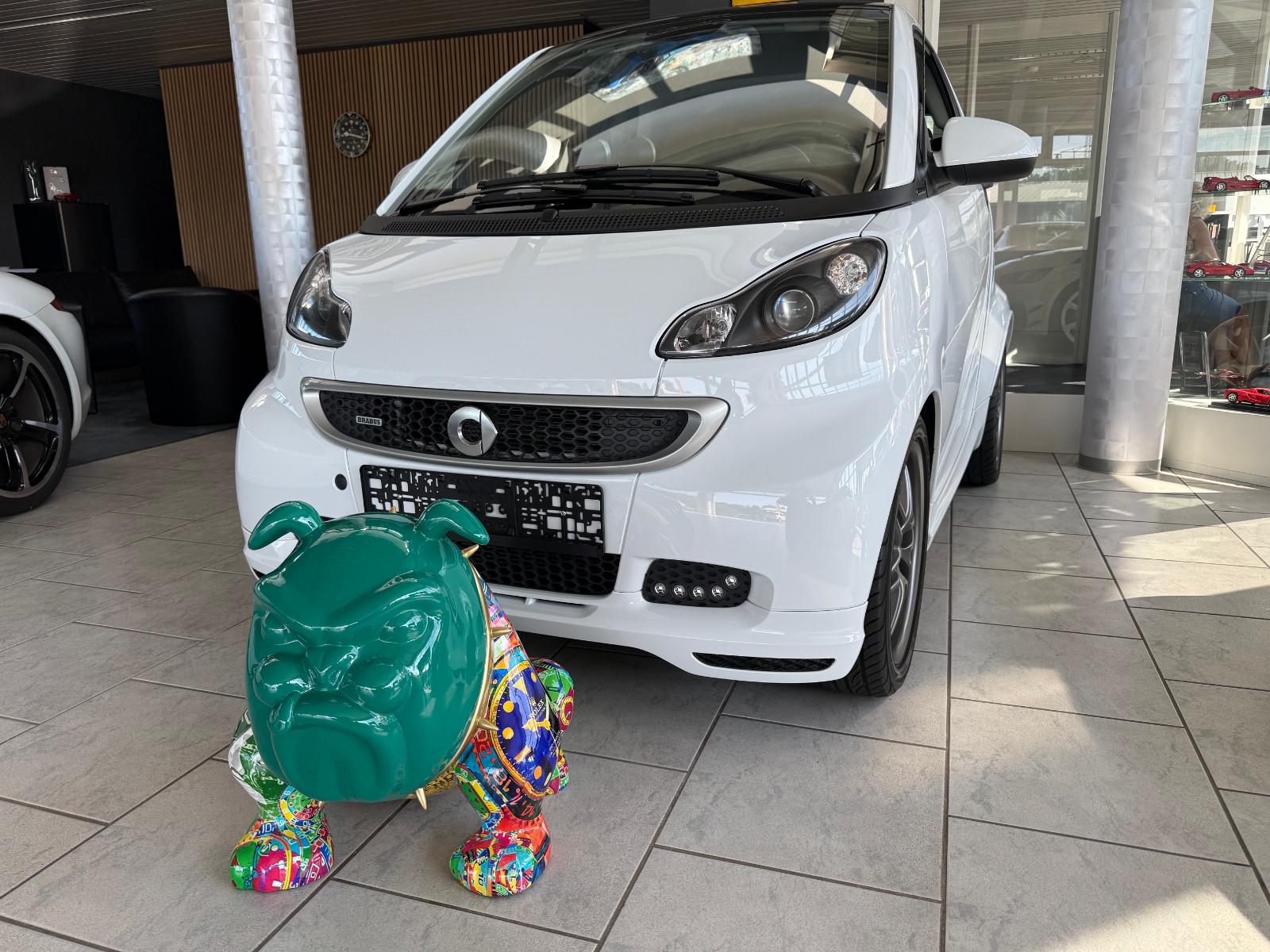 Smart ForTwo fortwo coupe Brabus    1. Hand