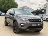 Land Rover Discovery Sport SE AWD - Land Rover Discovery in Hannover