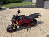 Honda MSX 125 - HONDA 125