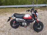 Honda Monkey 125 - Rot / 2022 - HONDA MONKEY 125