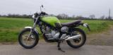 Yamaha XJ 600 S/N Scrambler - Angebote