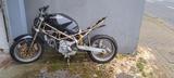 Ducati Monster 900 Teilespender - DUCATI 1998