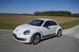 Volkswagen Beetle 2.0 TDI Sport Sport - Volkswagen Beetle mit Diesel-Antrieb