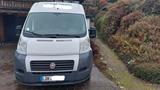 Fiat Ducato 250 L2H2 LKW-Zul. 96KW Klima HU/AU 03/26 - Fiat Ducato: 250l