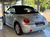 Volkswagen New Beetle Cabriolet 1.4 GEWERBE*EXPORT*BASTLER - Volkswagen New Beetle mit Benzin-Antrieb: Cabrio, 1.4