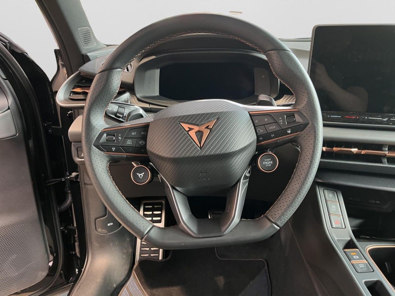 Cupra Terramar - Bild 9