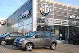 Fiat Panda 1.2 Easy - graue Fiat Panda