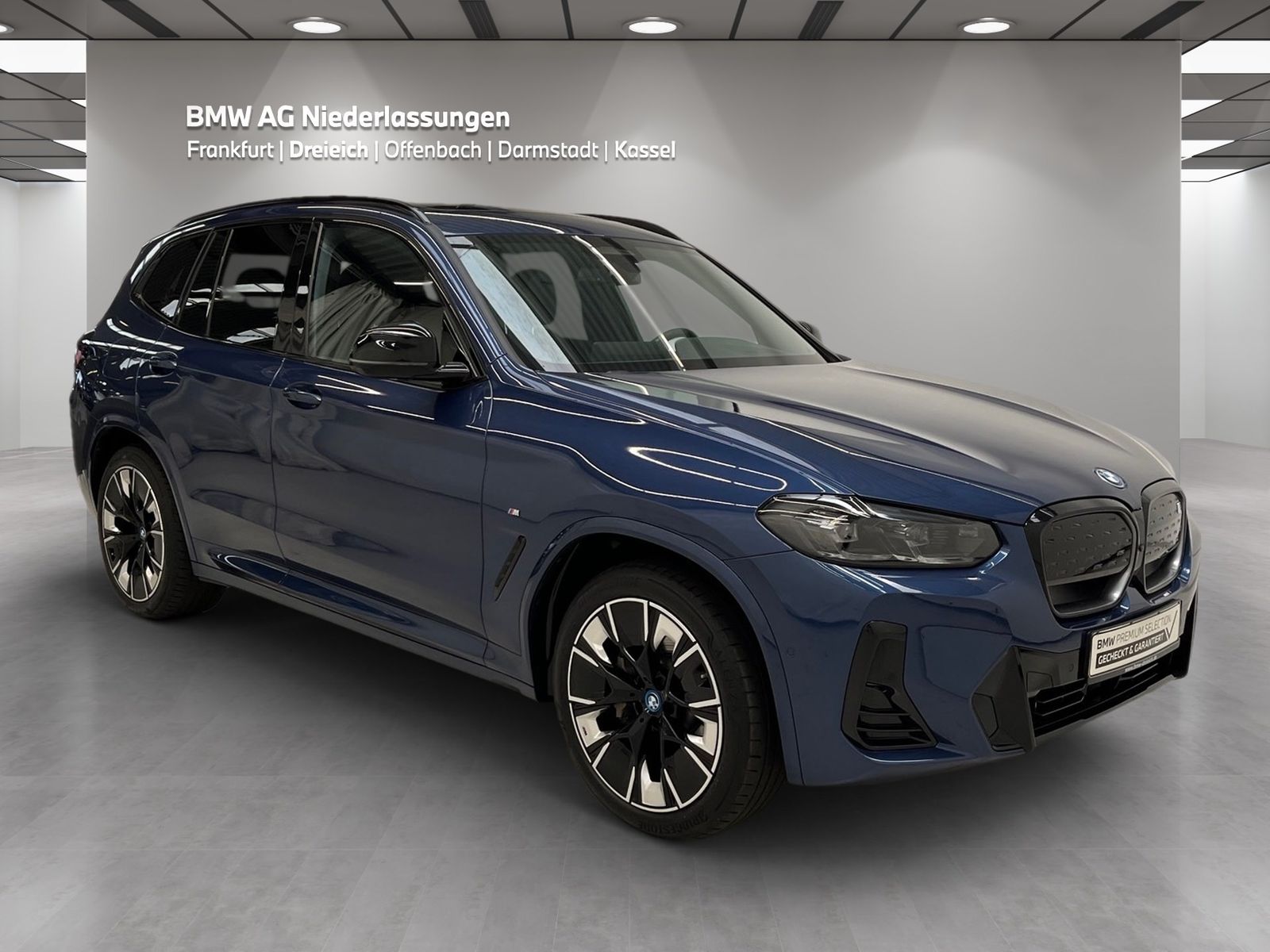 BMW iX3 M Sport Driv.Assist.Prof Harman/K Head-Up foto 2